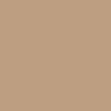 CCS Court Date Chino Pants - Khaki